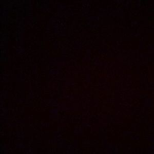 Meet your Posher, Elly